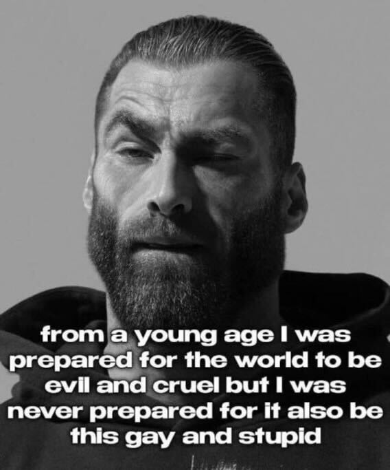 travis4nh's tweet image. 