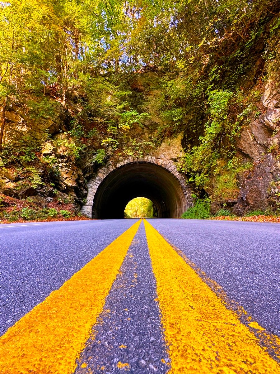 DavidMora's tweet image. In this journey called life, the road whispers its lessons softly – patience, wonder and the quiet grace of finding light even in the tunnel. 🌄 #Smokies #Tennessee