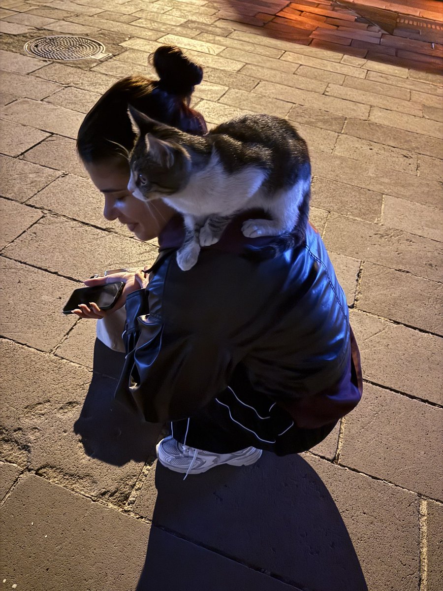 iitsmeebru's tweet photo. https://t.co/I1Poqk5SHa