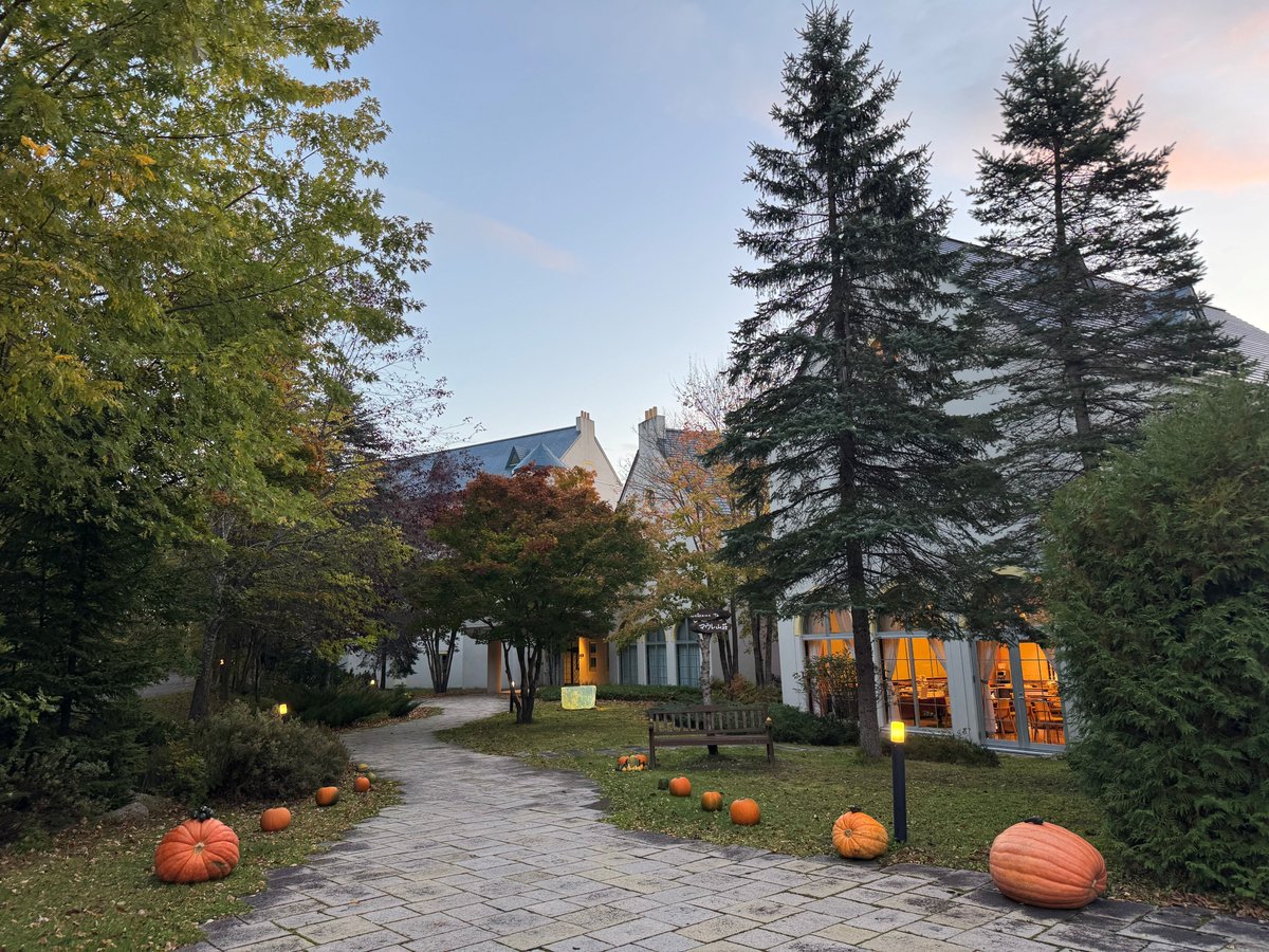 おはようございます。              　　　　　　　　　　　　　　                                        今朝６時頃の気温は３℃。         
すっかり朝の気温は０℃近くなってきました。

#遠軽 #丸瀬布 #企業公式が毎朝地元の天気を言い合う