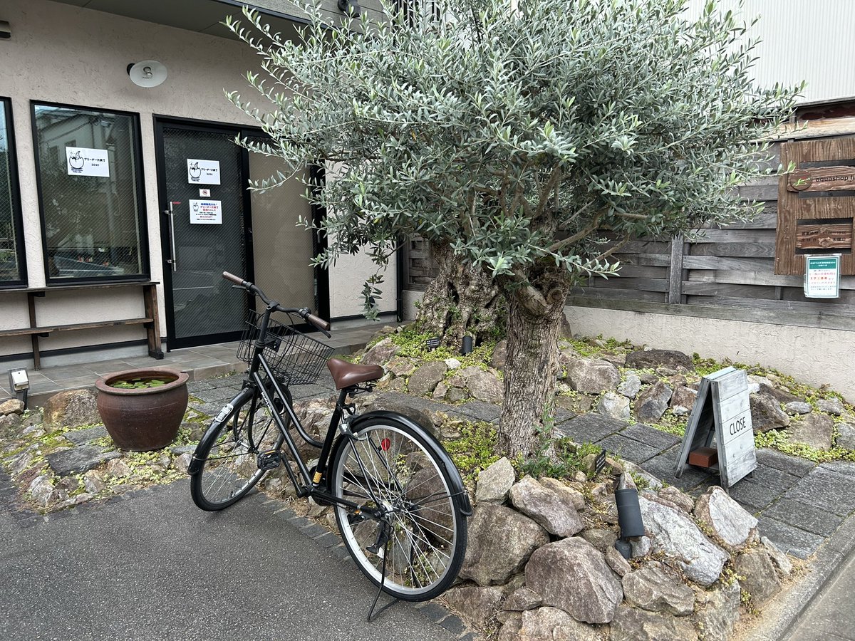 おっ！シノピーが一番ノリか笑