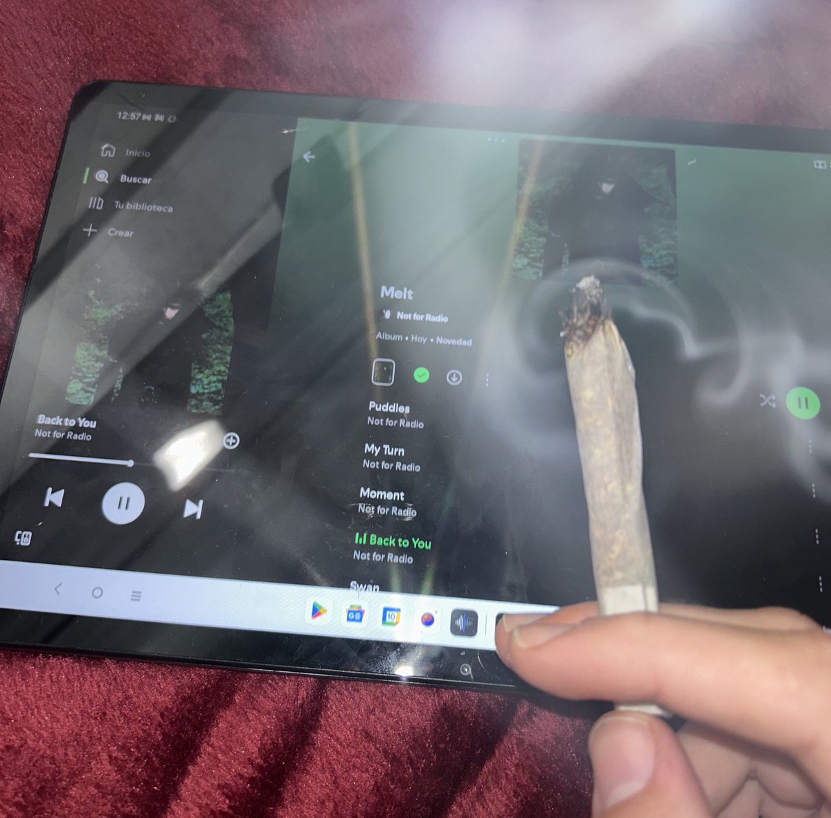 comotequieroyo_'s tweet image. first listen and i already love this album about plants