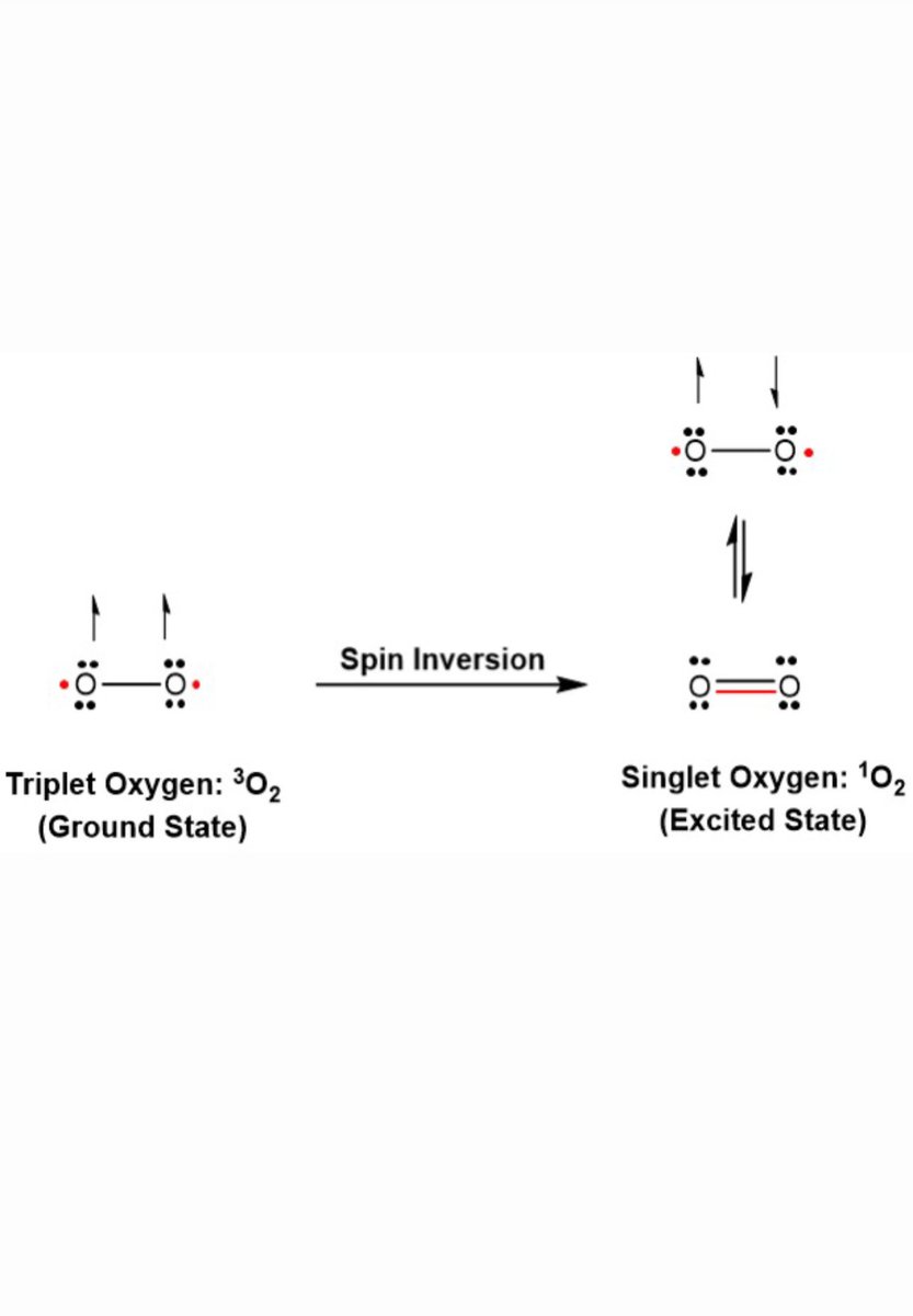 yungkingmito's tweet image. Every breath we take delivers triplet oxygen into mitochondrial fields where electron flow drives charge separation, powering the quantum mechanical processes of life.
Triplet oxygen (³O₂) is the ground state: calm, magnetic and unreactive. Two electrons spinning in parallel,…