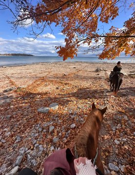 Saddle up, soak in the views, and let the journey be as beautiful as the destination 🐎
