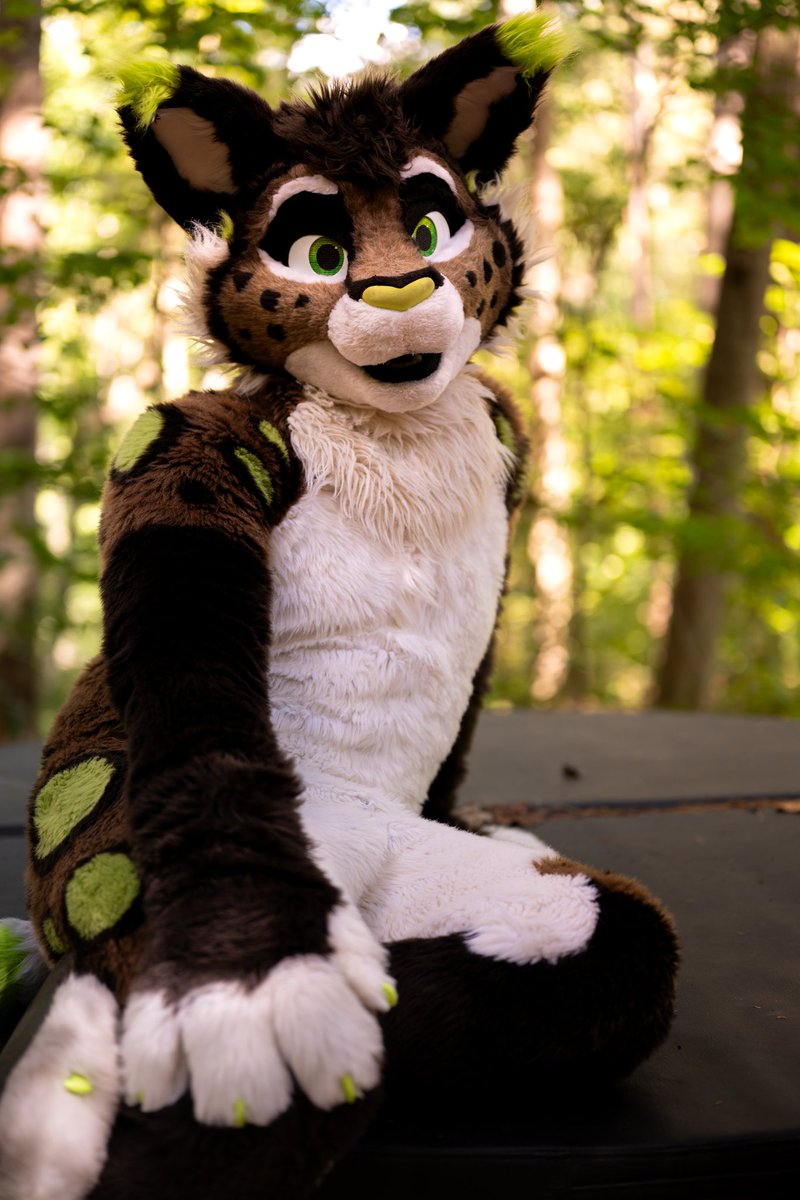 I can't believe they made an entire day just for me~

Because lynx are always a 10/10 😽

📸: <a href="/ToofyTaro/">Taro</a>
#FursuitFriday