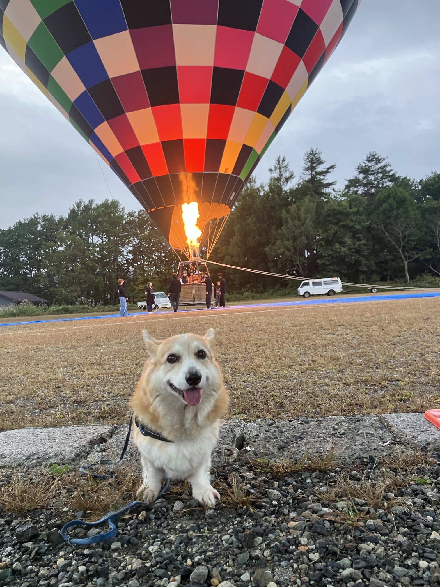 こたパパ@全国100年老舗節約グルメ旅人 (@shinisetabi) / X