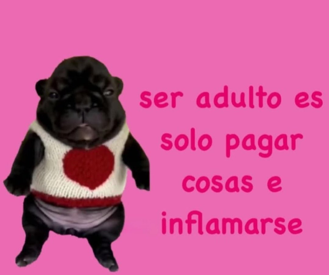 Laura Pico (@laurapicosa) on Twitter photo 