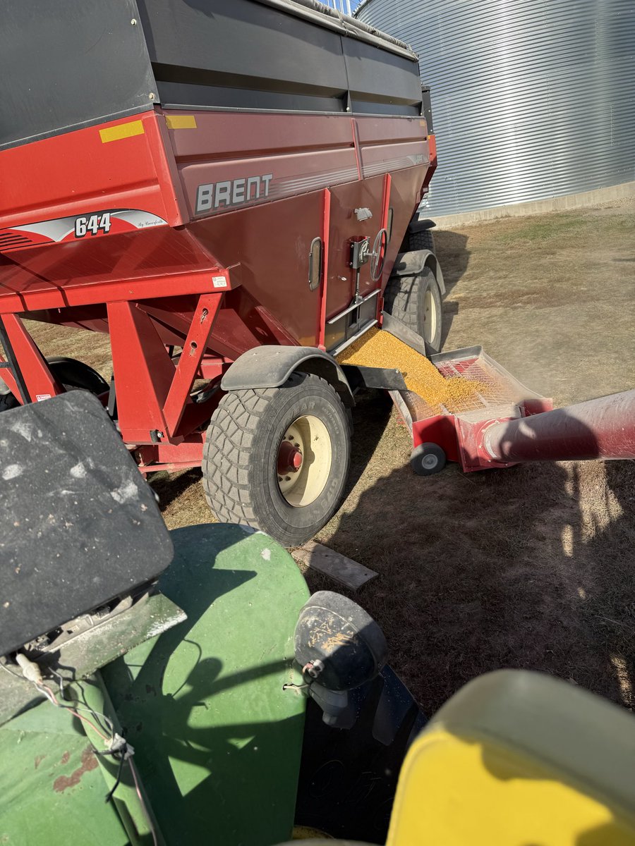 Usuallly I’m a grain cart princess but I have become the wagon mule now 😭