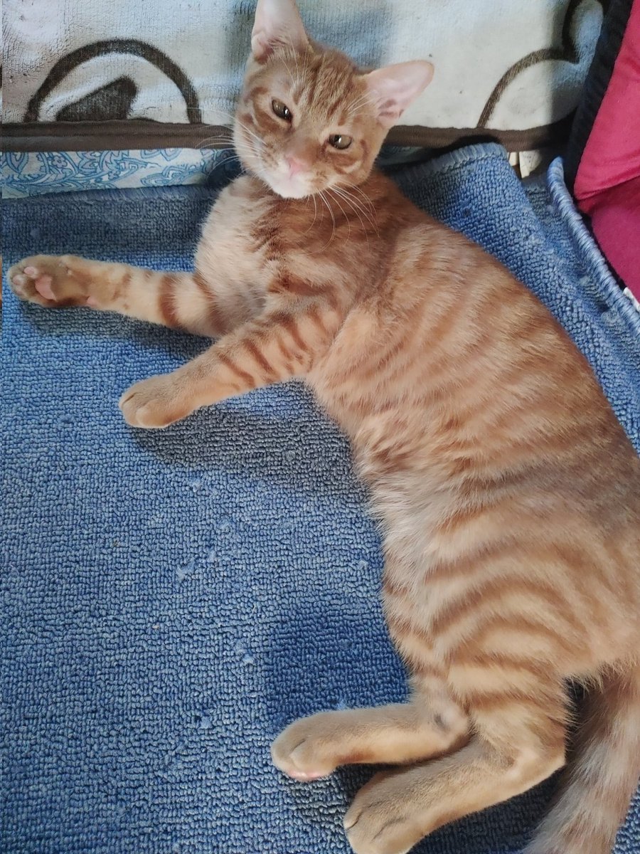 🌟皆さん🌟
🌟おはようございます🌟

🌟何となく生きていると、何となくしか運はめぐってこない🌟

🌟今日も時間大切に🌟