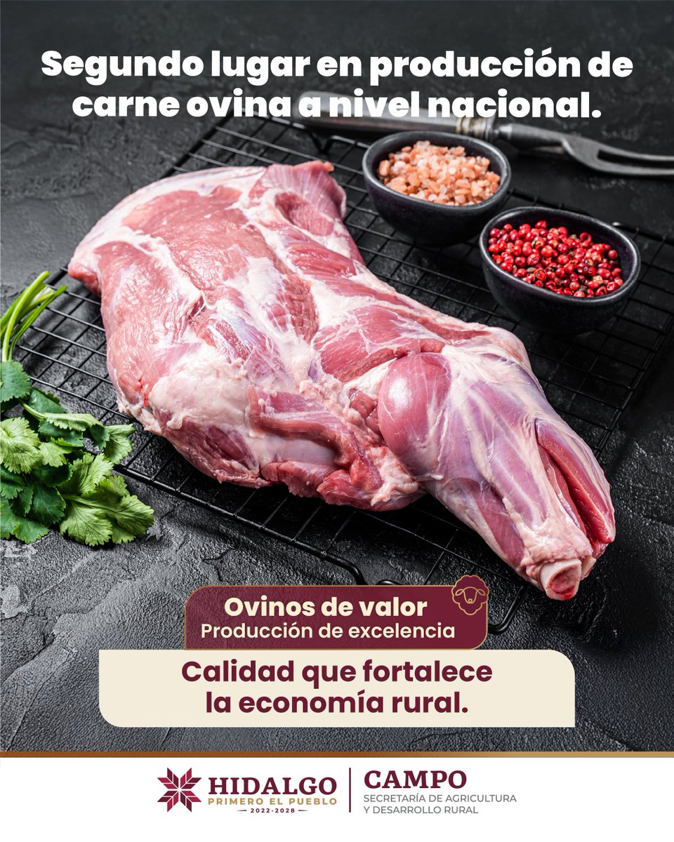 CronicaHidalgo's tweet image. ¡Hidalgo es 2º lugar nacional en producción de carne ovina!
La calidad impulsa la economía rural y pone en alto al campo hidalguense.
#OvinosDeValor
#primeroelcampo