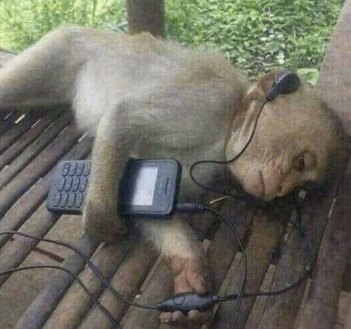 Cloux74's tweet image. 