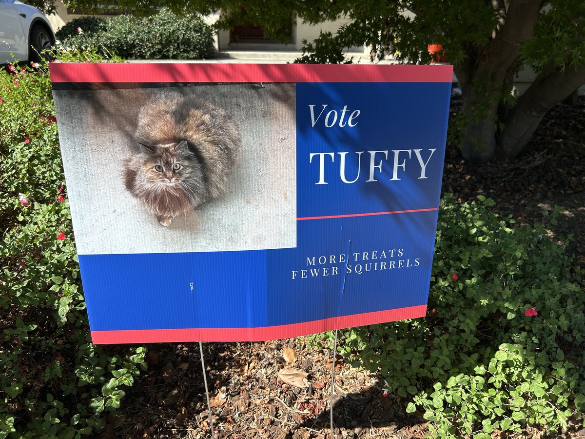 Darrell Root tweet media