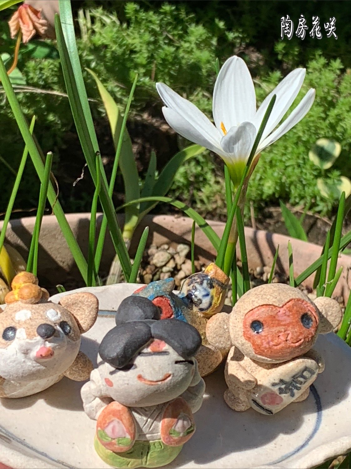 桃太郎 - Search / X