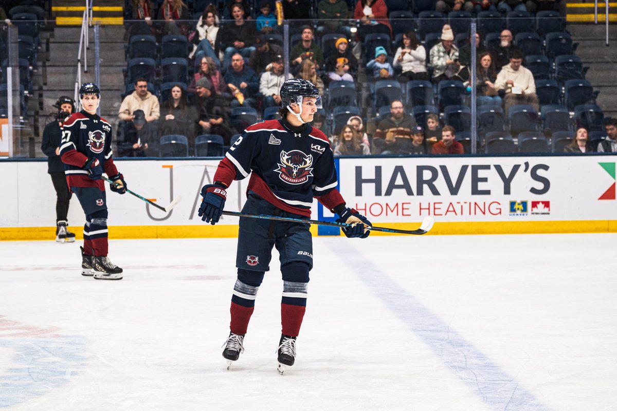 Newfoundland Regiment tweet media