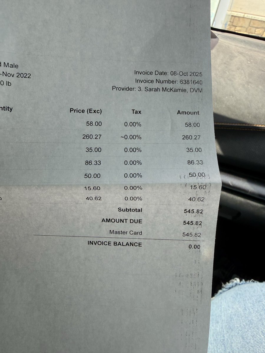 Fox 🌙 is on bsky! tweet media