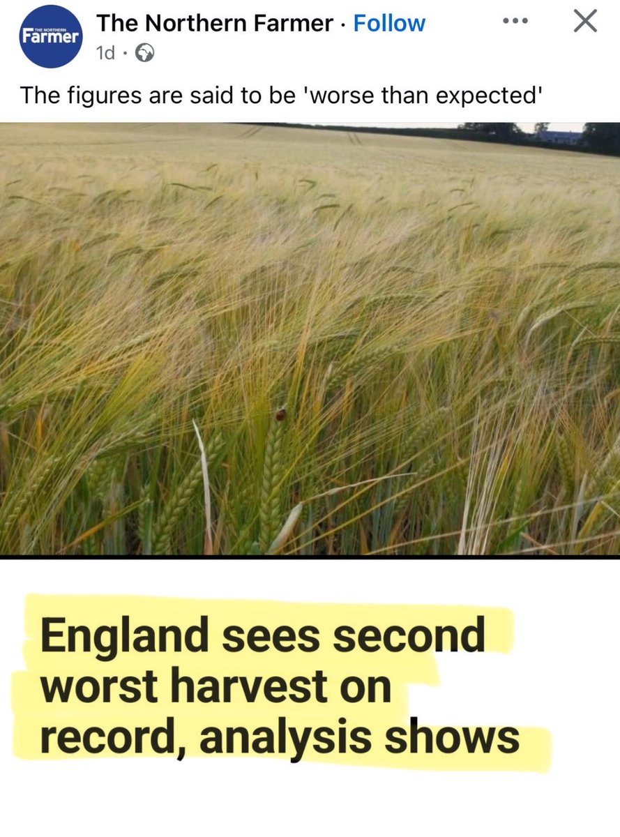 Bernie (@artemisfornow) on Twitter photo Ahh .. the doom and destruction of a nice summer (climate change)
Whereas in reality, Britain has always had crop successes and failures depending on the weather. 
many crops have had a bumper year. Here’s a list according to the AHDB
▪️oilseed rape at record highs
▪️barley Ahh .. the doom and destruction of a nice summer (climate change)
Whereas in reality, Britain has always had crop successes and failures depending on the weather. 
many crops have had a bumper year. Here’s a list according to the AHDB
▪️oilseed rape at record highs
▪️barley