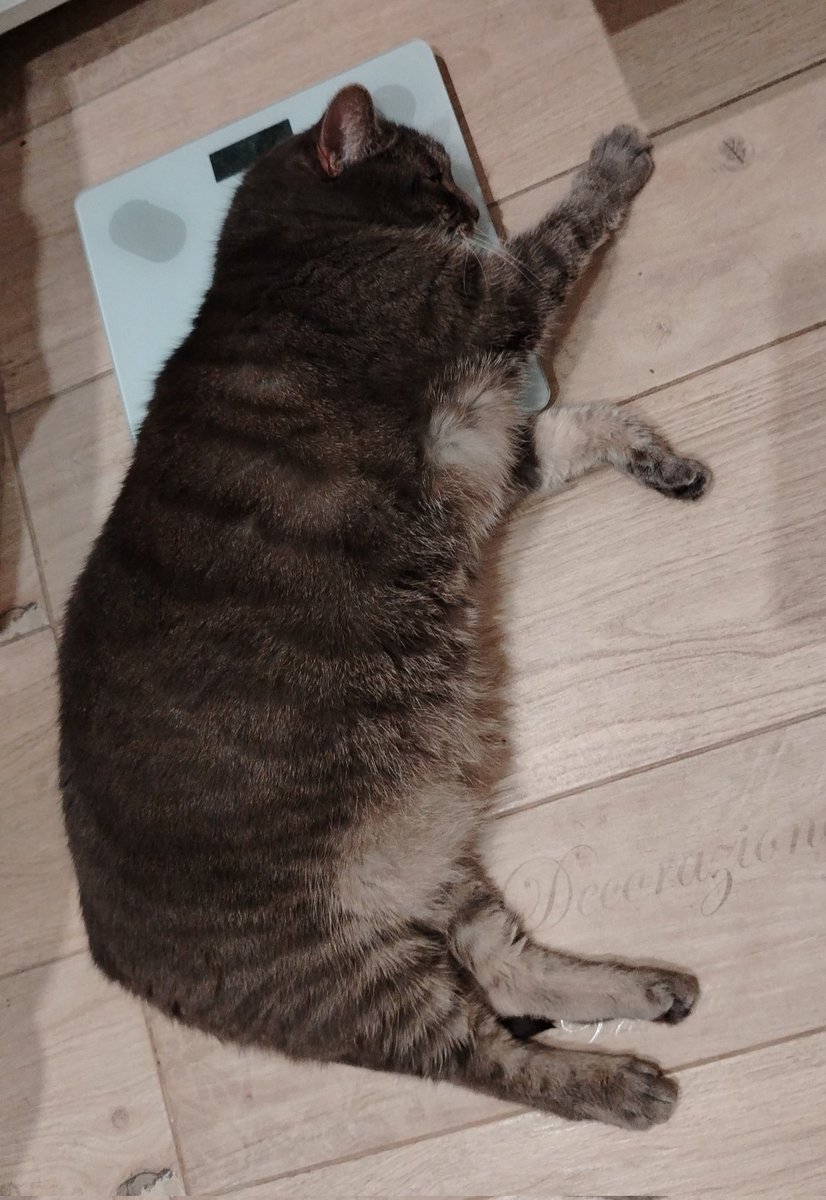 Анюта 🦄 tweet media