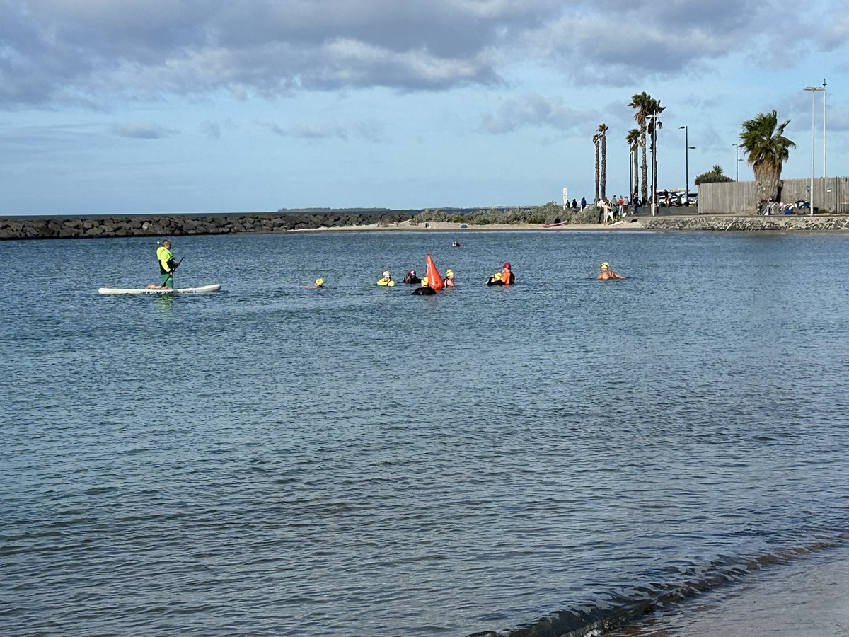 jess_marnich's tweet photo. 8am pod of swimmers
#MOWSC
#WilliamstownBeach
#MelbsWest https://t.co/Jq89SNQNXp