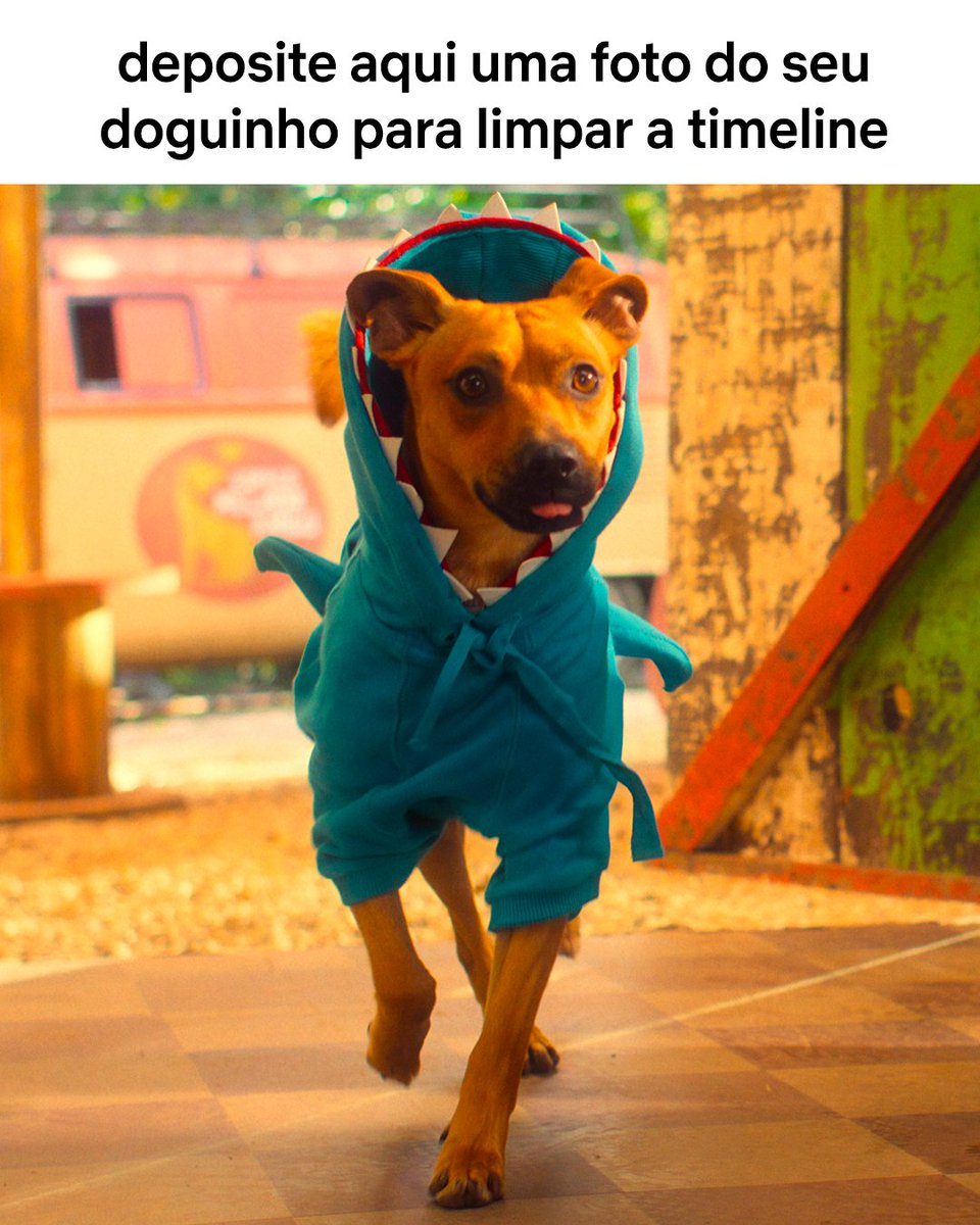Ajude a limpar a timeline e coloque aqui uma foto do seu pet ✨