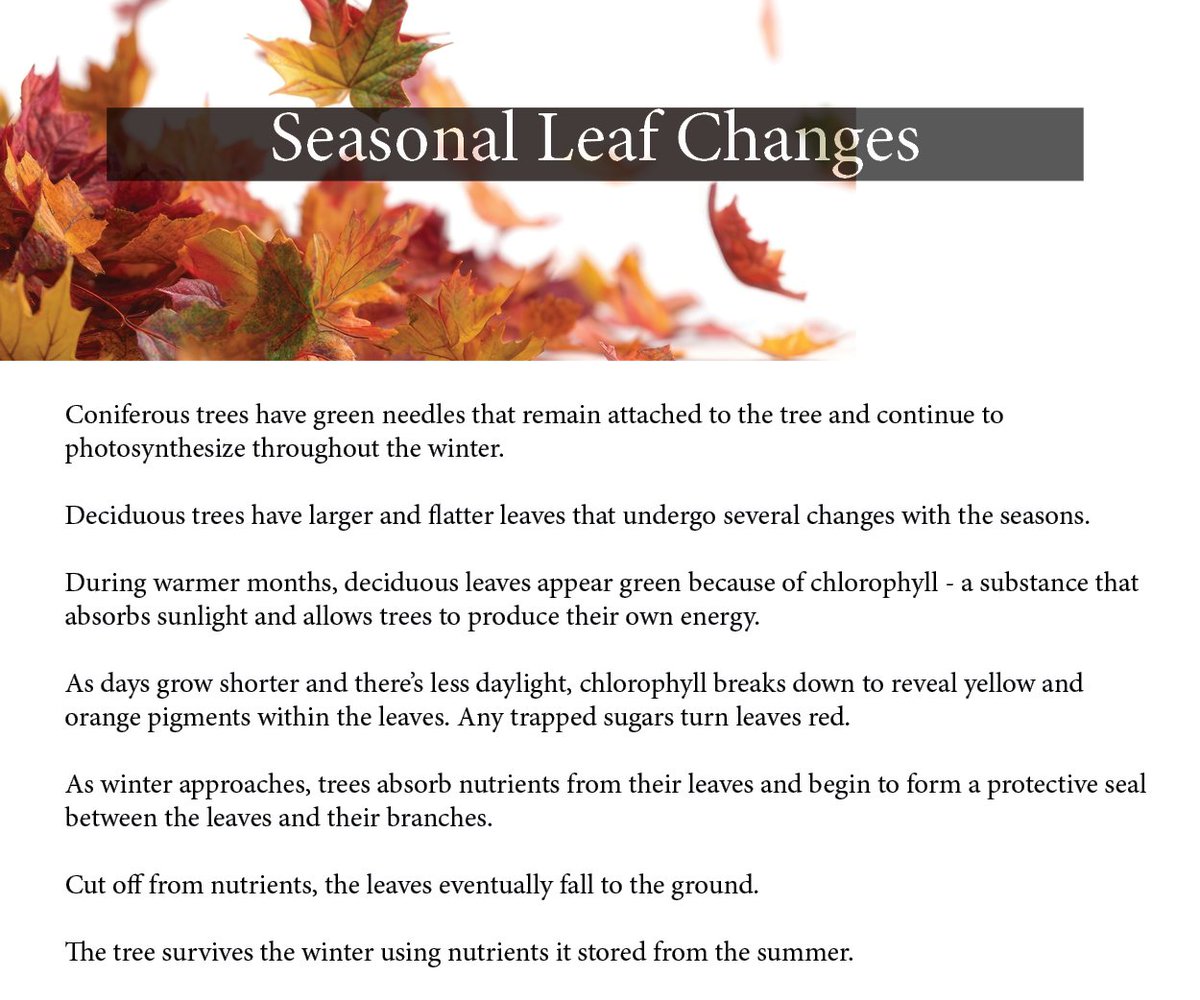 MSSE at MSU tweet media