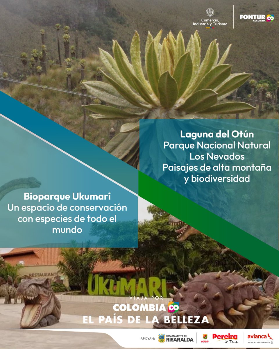 Asociación Hotelera y Turística de Colombia tweet media