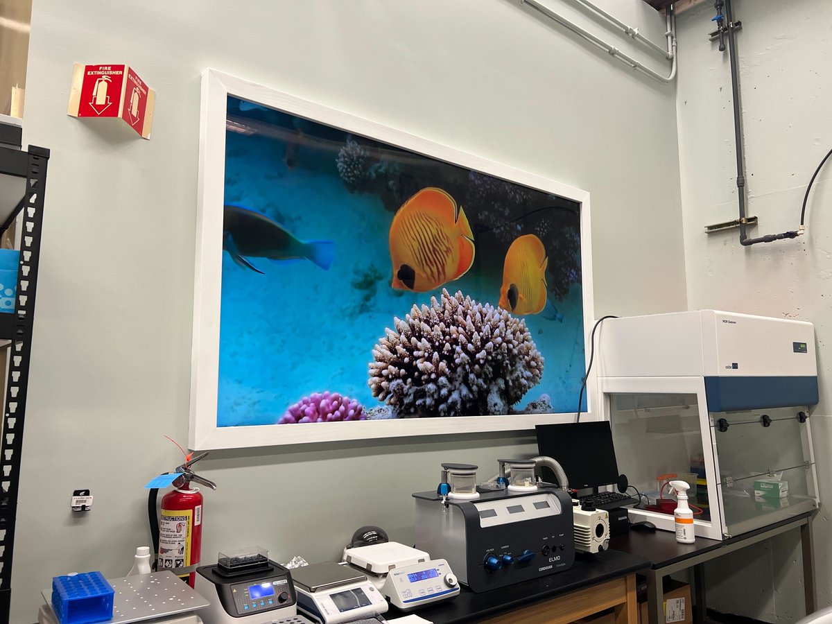 Greg Tikhomirov tweet media