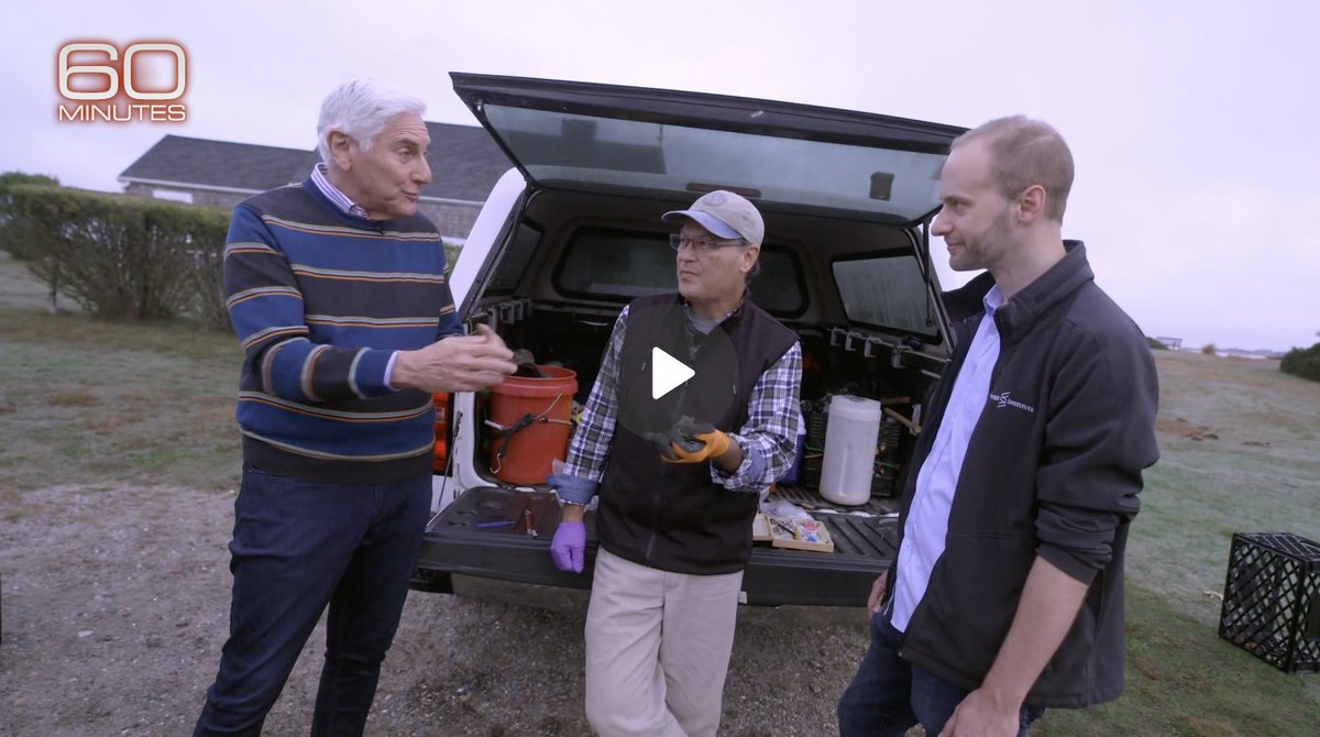Watch 👀 Hertz Fellow and @mit associate professor Kevin Esvelt on @60minutes as he discusses "Mice Against Ticks", a community-guided project from the Sculpting Evolution Lab at @mitmedialab.

The initiative aims to make Nantucket’s white-footed mice resistant to Lyme