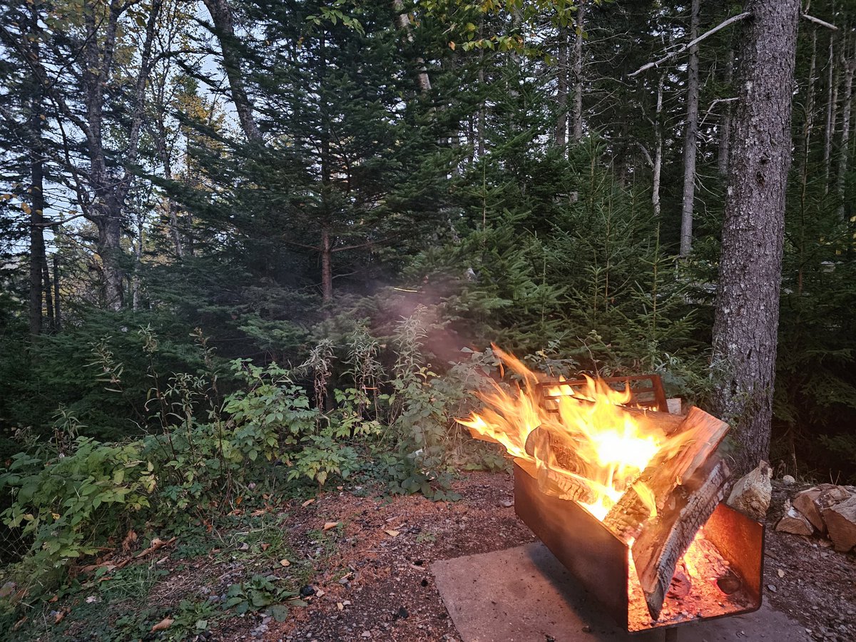 Escaping the city life