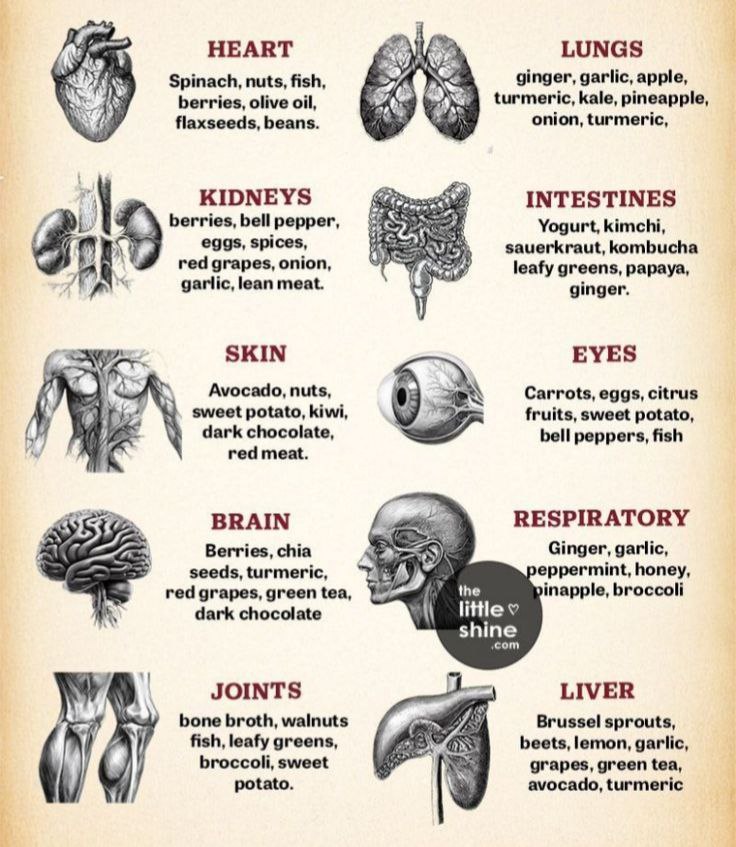 Best foods for our organs .