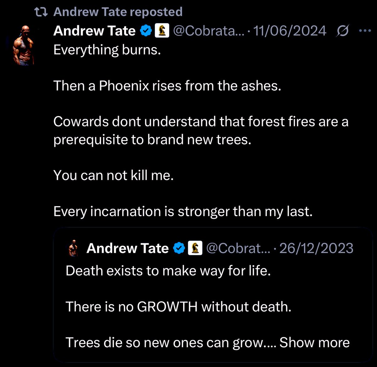 Tweet media one