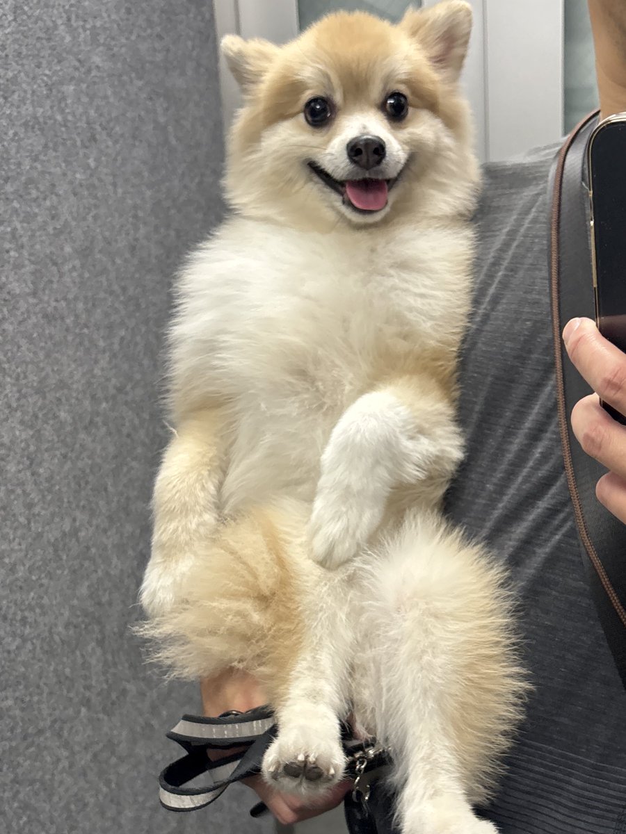 おはようございます。
涼しくてお散歩しやすいね。