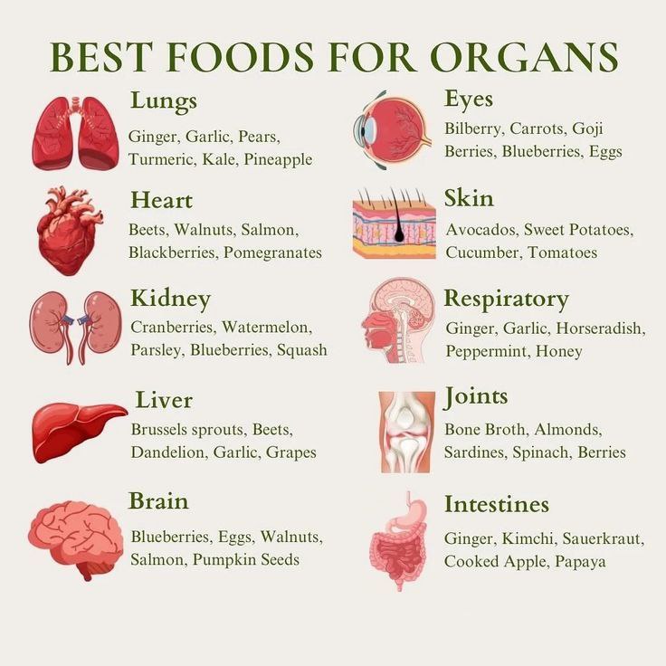 Best food for Organs .