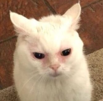 Yo en guate: sería pago sin contacto

Mi amiga de guate: no bebe tranqui aquí no tenes que decir eso.

Yo, ahuevado, sabiendo que en Honduras tendría que avisar, mostrar identidad, escribir mi identidad, y de paso firmar un recibo que dice “No requiere firma”: