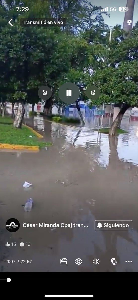 IngeConeja's tweet photo. Amigos por favor mi #POZARICA #VERACRUZ necesita todo el apoyo del mundo, hay gente atrapada en azoteas y que perdieron todo ¡AYÚDENME A DIFUNDIR! Ya que la pinche @rocionahle no está haciendo nada 
@Televisa @Azteca @AristeguiOnline https://t.co/zhSKk0vrw5