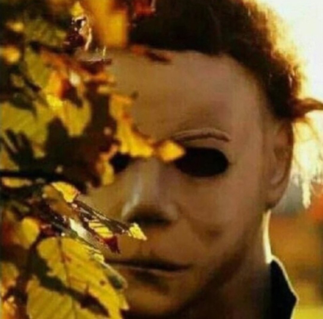LetsTagIt's tweet image. #WhenIThinkOfAutumn
I get into full gear..😂🔪