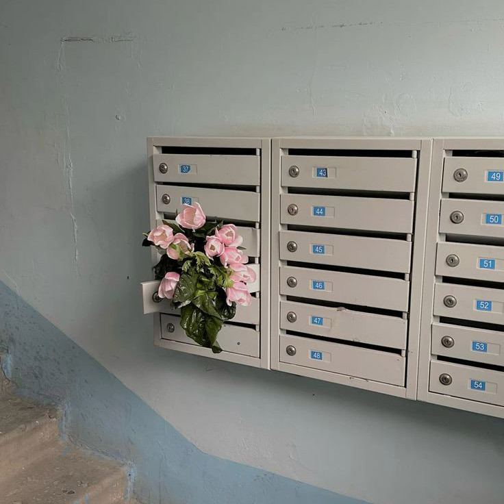 poeticalphotos's tweet image. 