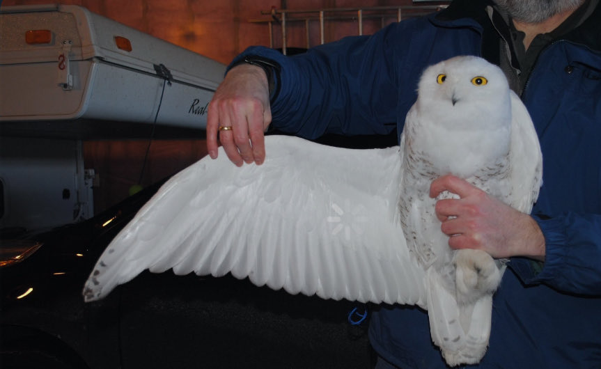 Savos International (@savosandsavos) on Twitter photo 