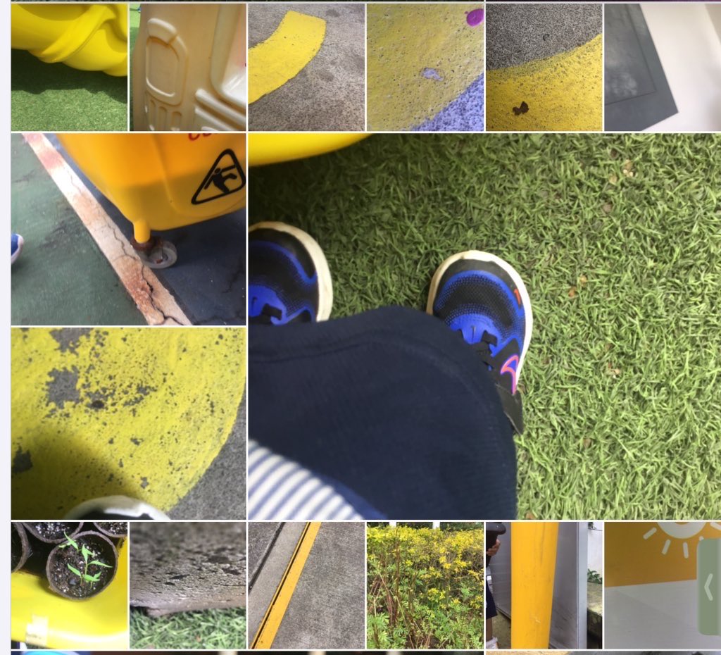 Out little explorers went on a “Yellow Hunt!” 🌼 Using their iPads, they looked around their classroom and daily environment to find objects that are yellow🐣.