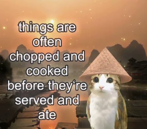 一只搞笑的猫：在上桌前食物经常被‘切碎和烹饪’的隐喻