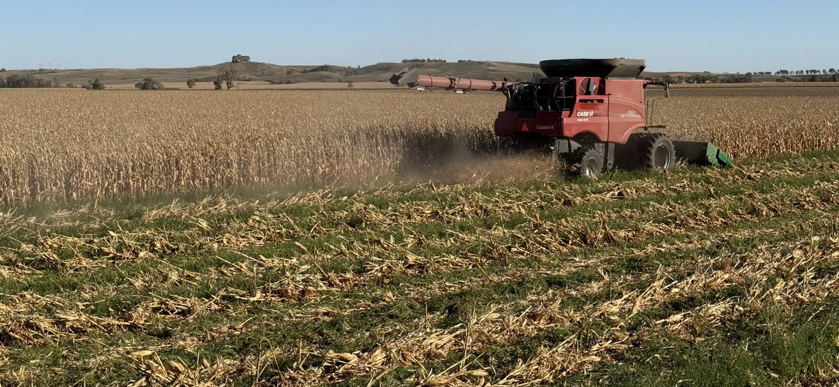 Joe Breker tweet media