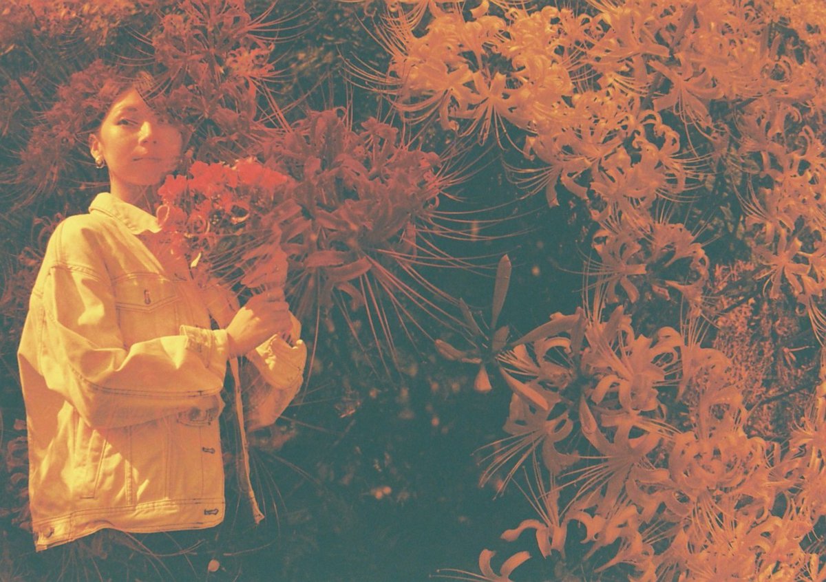 ryoezou's tweet image. 多重露光（セルフスワップ）
Lomography Redscale50-200
ASAHI PENTAX SP

セルフスワップが得意なカメラを使った方が良いという事を学んだ。
#秋のフィルム多重露光フォトウォーク

#Lomography