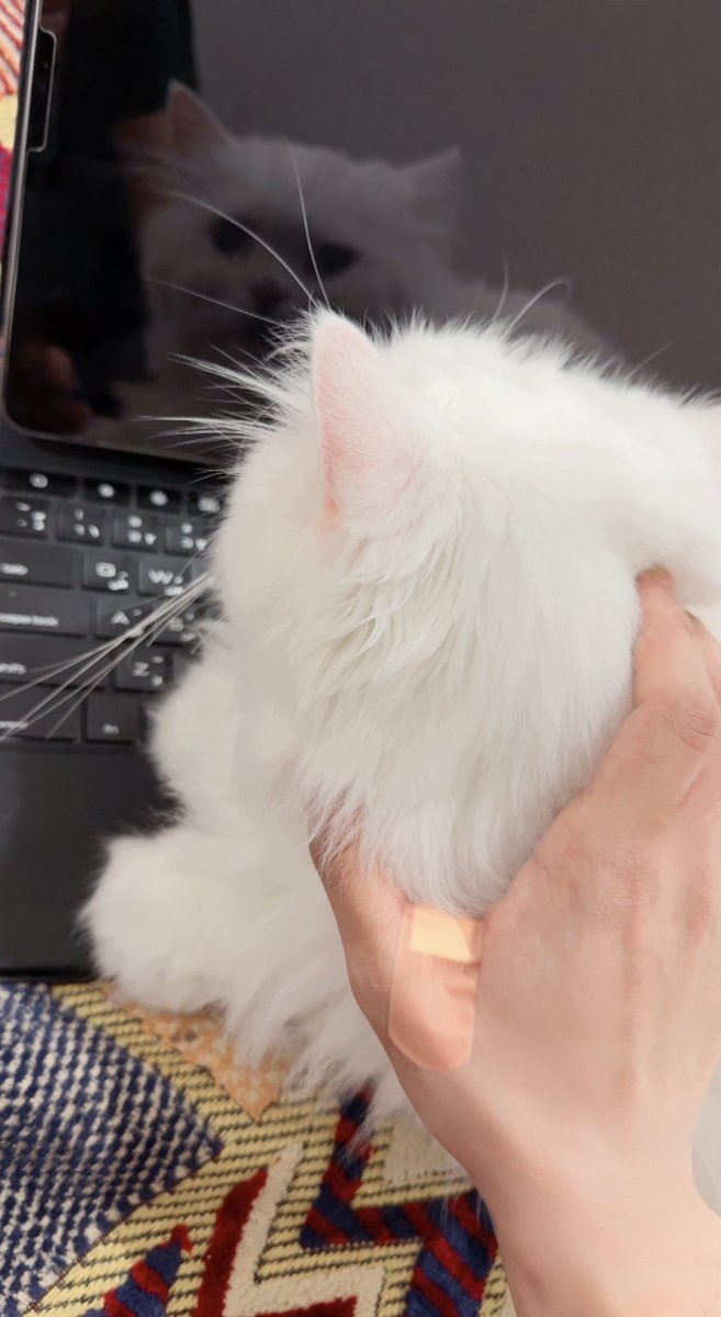 صدقوني بيبو حسدني كلما جيت اكل منها انجرح🥺