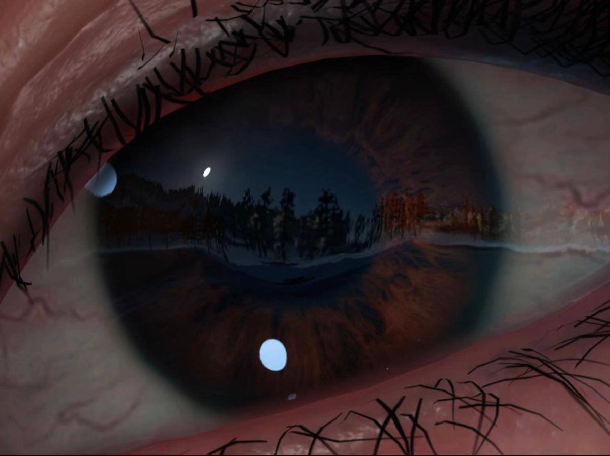 Play4Index's tweet image. Gamers are amazed by the level of detail in Ghost of Yōtei — realistic reflections of the surroundings can be seen in Atsu’s eyes.