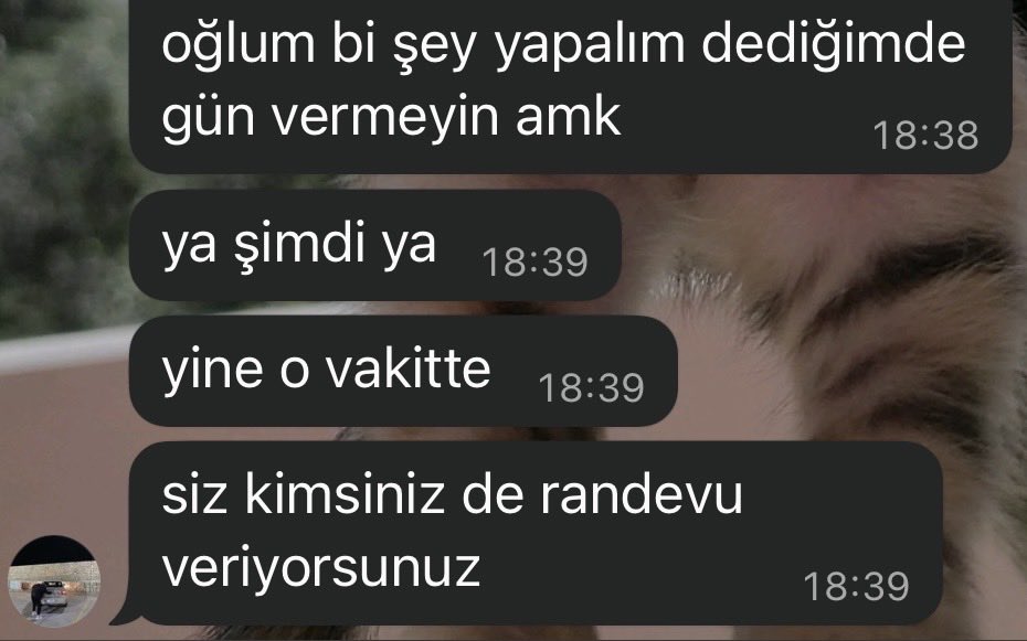 Deniz tweet media