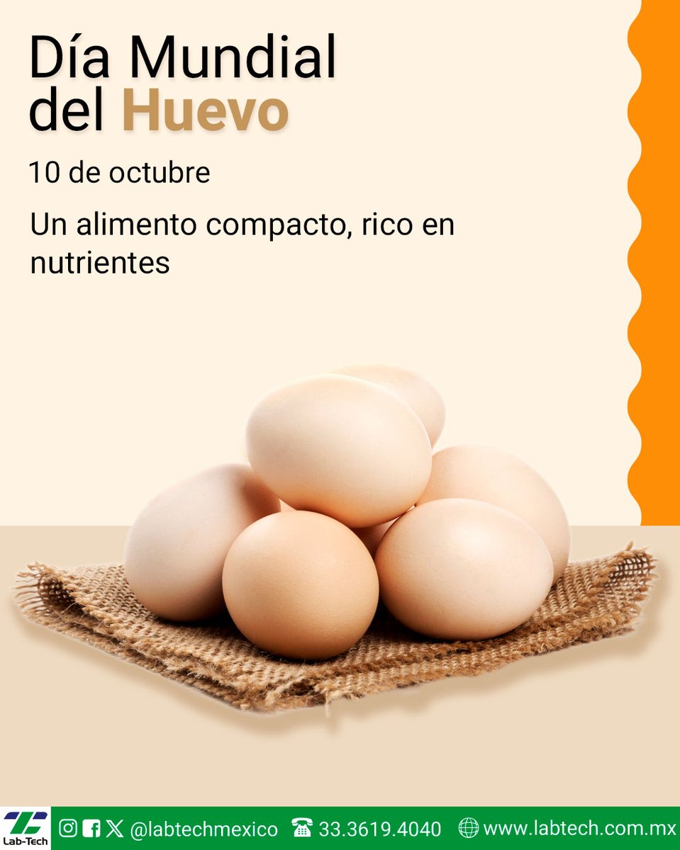 LabTechMexico's tweet image. 🥚 Hoy celebramos el #DíaMundialDelHuevo

Uno de los alimentos más completos y accesibles del mundo.

Impulsamos a la industria avícola mexicana con tecnología para control de calidad, investigación y seguridad alimentaria.

Detrás de cada huevo hay ciencia e innovación.