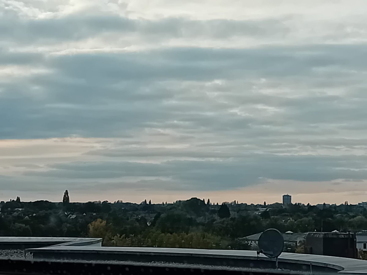 Celandine tweet media