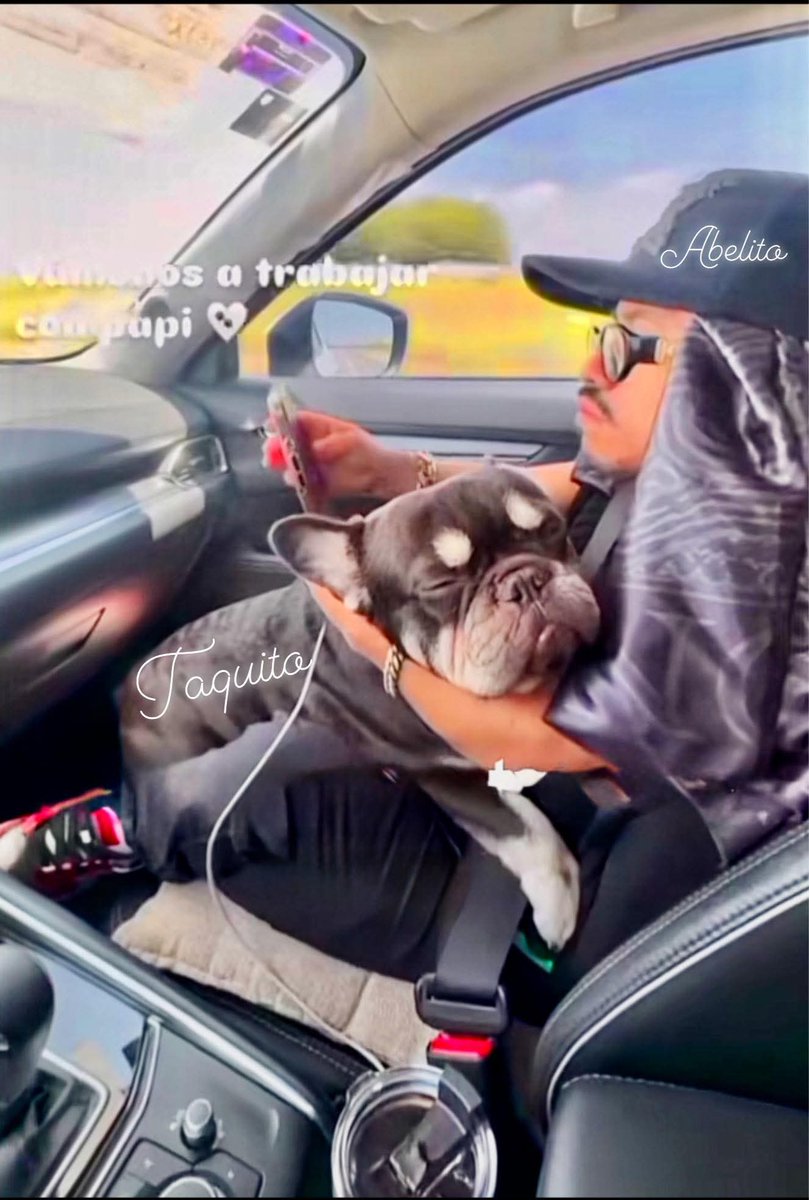Muero de amor Taquito acompañado a su papi ABELITO a sus contratos 
#LaCasaDeLosFamososMx <a href="/Abelicona/">ABELICONA UPDATES</a>
ABELITO EN FZ MANAGEMENT