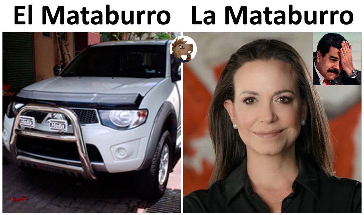 ChiguieTripolar's tweet image. 