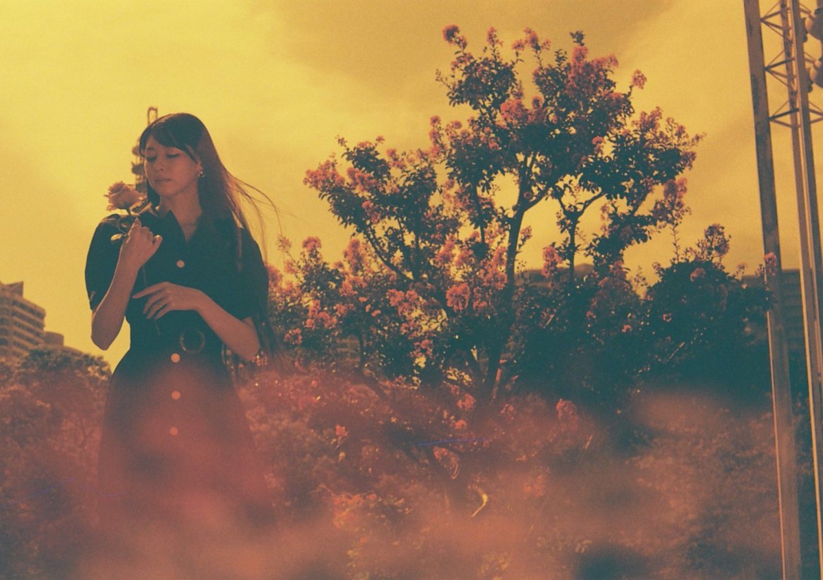 ryoezou's tweet image. 多重露光（セルフスワップ）
Lomography Redscale50-200
ASAHI PENTAX SP

セルフスワップが得意なカメラを使った方が良いという事を学んだ。
#秋のフィルム多重露光フォトウォーク

#Lomography