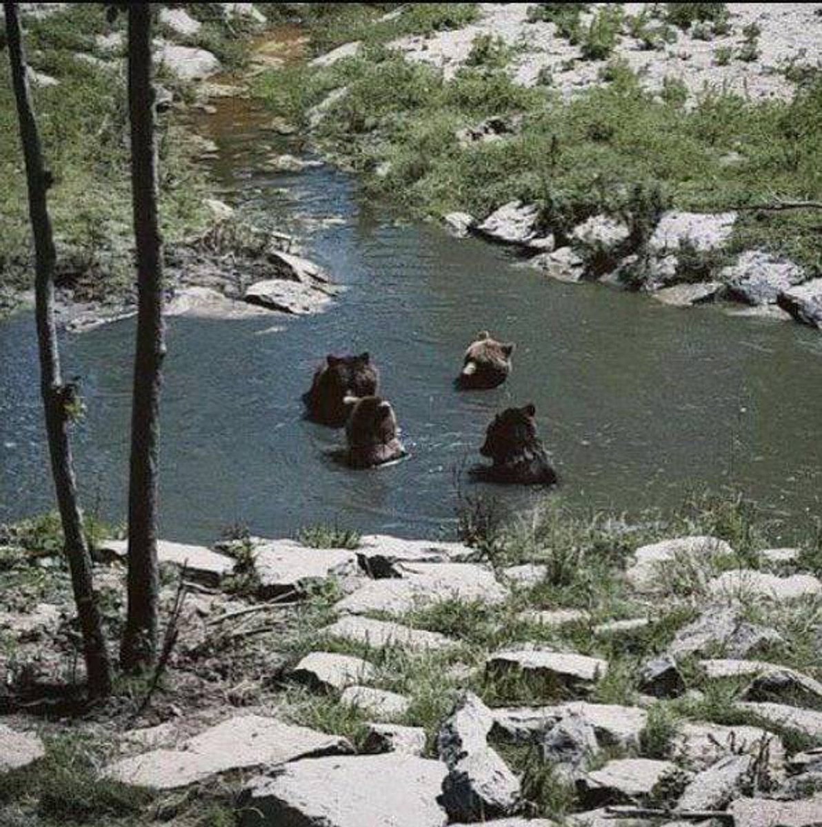 Entered the bye week after a great game! Then followed it up with practice and some team bonding. We will enjoy these last few days and get back to it with A LOT at stake!!

GO GRIZZLIES!!

#APEXMENTALITY
#OwnTheDATE
#HUNTING2EA5ON
#TraditionStartsWithMe